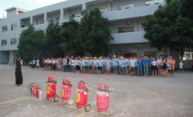 公司領導發表講話